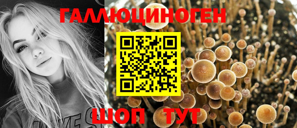 Павловский Посад  Псилоцибиновые грибы мицелий  Галлюциногенные грибы MAGIC MUSHROOMS  Вход с VPN 
