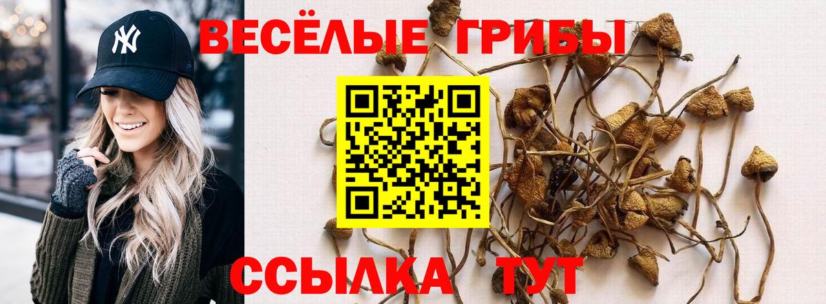 Псилоцибиновые грибы прущие грибы Павловский Посад